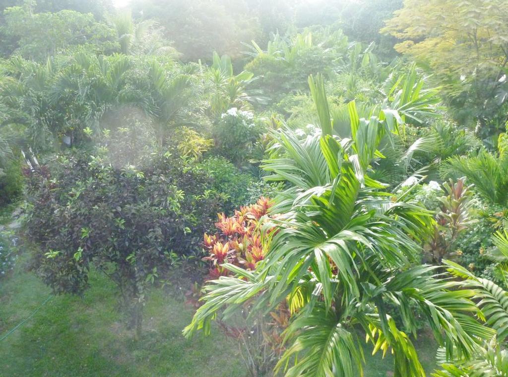 La Batie Selfcatering Apartment Beau Vallon  Exteriör bild